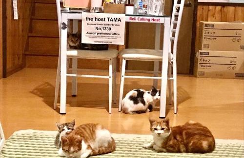 Minamitsugaru-gun House | Misato Memorial Hall - Vacation STAY 61405v