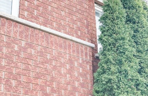 Lisgar House | Mississauga Home Away from Home