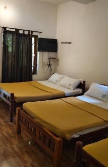 Masinagudi Resort | Mist Valley Wildlife Resort