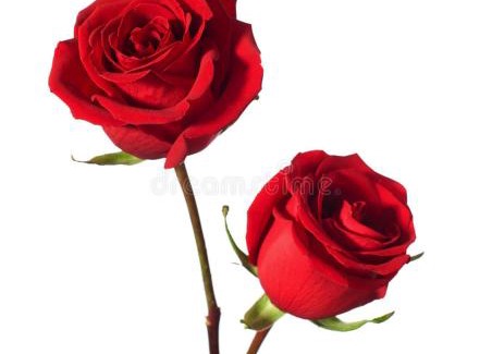 Dorrego Apartment | Mistela Altos de Mendoza- Departamentos y Habitaciones Sala con tragamonedas Zona Residencial a pasos de Ciudad- Tours de viajes- Merienda de Bienvenida - Viaje al Aeropuerto gratis -