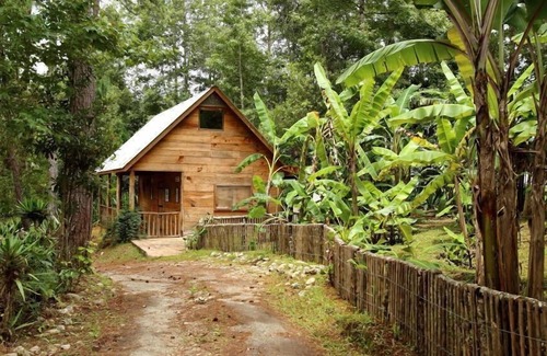 Alta Verapaz Cabin | Misterio Verde