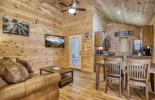 Cosby Cottage | Misty Cove Cabin -Pickleball Court, Creek, WIFI, Mountain Views, No Cleaning Fee