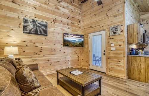 Cosby Cottage | Misty Cove Cabin -Pickleball Court, Creek, WIFI, Mountain Views, No Cleaning Fee