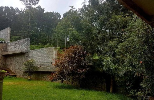 Kotagiri House | Misty Green woods.