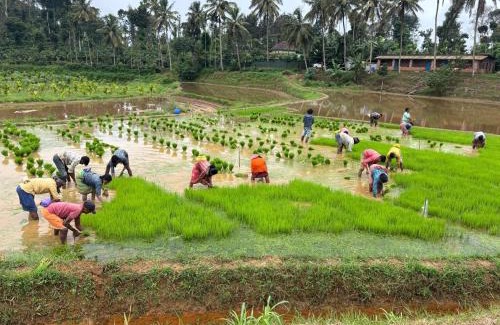 Virarajendrapet House | Misty huts home stay