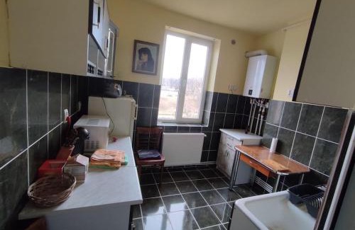 Vulcan Apartment | Misty Mountain Accommodation