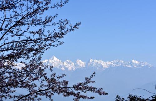 Jhaltola Cabin | Misty Mountains Jhaltola