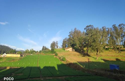 Kandal House | Mithra Cottages Ooty Individual Villa Breakfast Complementary, Campfire Available, BBQ Available, Home made Food Available