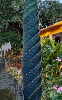 Los Naranjos House | MIVALS