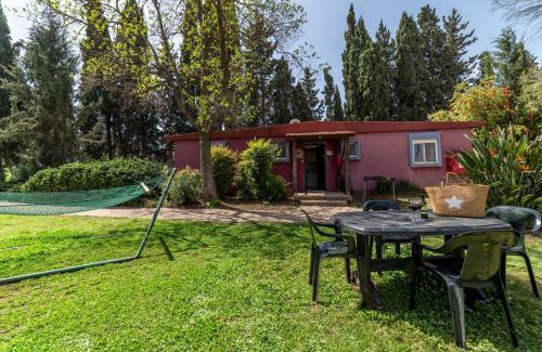 Mizra Hotel | Mizra Guest House