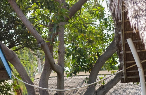 Senga Cabin | Mkunkhula Baobab Lodge