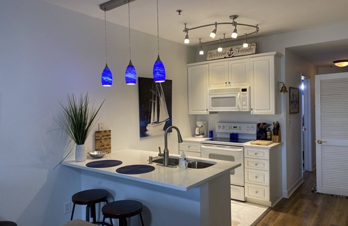Huddleston Condo | ML, 1Bedroom,1 bath, Lakefront, best views around! PET Fee -ask about ESA policy