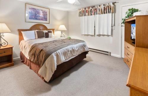 Snowshoe Apartment | ML229 Mountain Escape Great for Relaxing Near Village