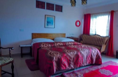 Nanyuki Hotel | MLIMAVIEW GARDENS BY Cradle Ranch