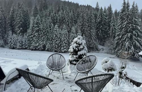 Moeciu de Sus Ski Chalet | Moșia Sofiei