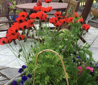 Drumchork Bed & Breakfast | Mo-Dhachaidh B&B