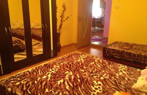 Garda de Sus House | Moara Lui Ivan