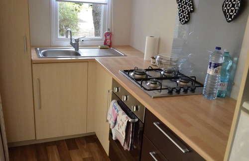 Saint-Julien-en-Born House | Mobile home in the Landes, view of the forest