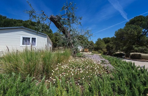 Tamarit House | Mobile Home Tarragona by Beach & Nature Reserve