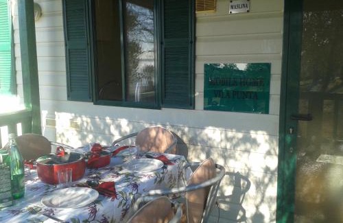 Sibuljina Resort | Mobile Homes Vila Punta