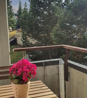 Sestriere Apartment | Moda Apartments 38