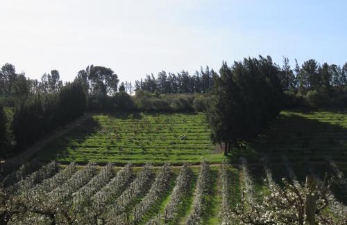 Paarl Apartment | Modderkloof Farm Accommodation