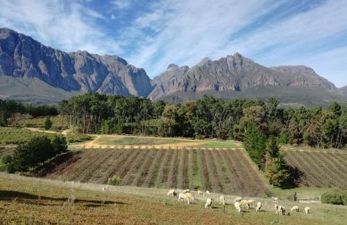 Paarl Apartment | Modderkloof Farm Accommodation