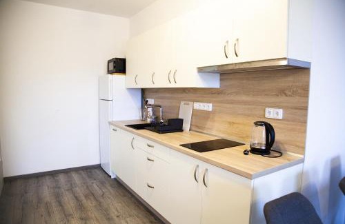 Zdikov Apartment | Moderní apartmán uprostřed šumavské přírody
