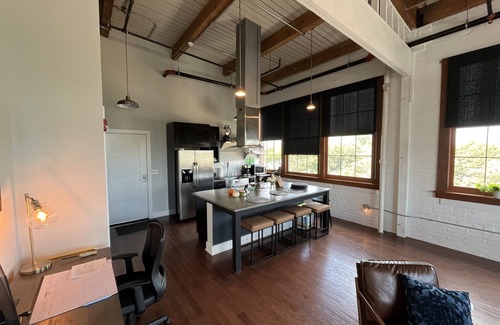 Downtown Rochester Apartment | Modern 1 Bedroom Loft Apartment!
