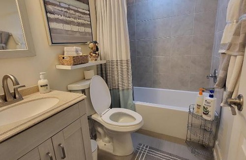 Potomac House | Modern 1BR Basement Suite