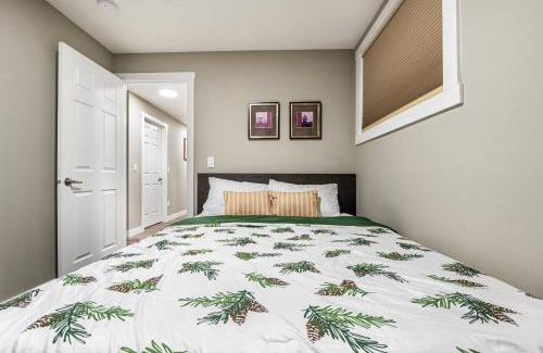 Killarney Apartment | Modern 2 bedroom basement suite, Stove not present for now