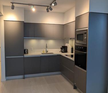 Mount Pleasant Apartment | Modern 2 bedroom condo with AC in Olympic Village