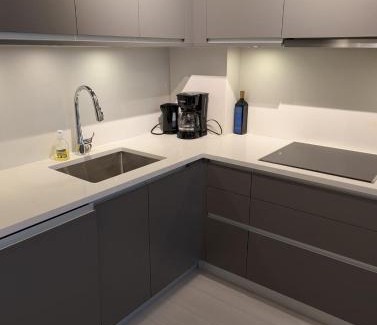 Mount Pleasant Apartment | Modern 2 bedroom condo with AC in Olympic Village