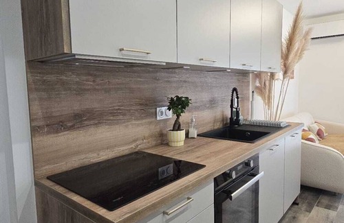 Lucciana Apartment | Modern 2-room apartment for 2 to 4 people