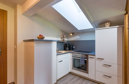 Hippach Apartment | Modern, alpine elegant, WLAN free of charge, 7 minutes to the ski lift