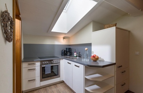 Hippach Apartment | Modern, alpine elegant, WLAN free of charge, 7 minutes to the ski lift
