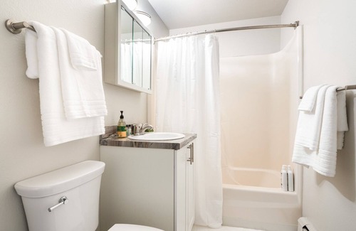 Northwest Colorado Springs Apartment | Modern Apartment in Prime Location (ID7160X43)