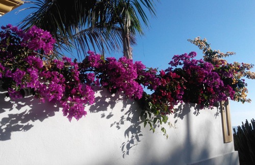 Puerto Naos Apartment | Modern apartment with pool in a quiet area in Puerto Naos