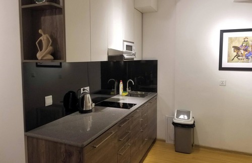 Downtown Ulaanbaatar Apartment | Modern Apartment in Central Ulaanbaatar