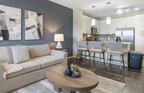Stone Oak Apartment | Modern Apartment in Prime Location (ID8830X56)