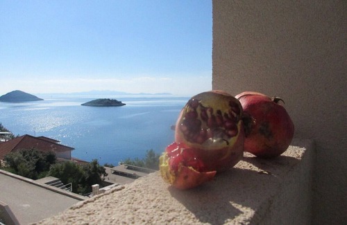 Blato Apartment | Modern apartment on island of Korcula with the 180 degree breathtaking sea view