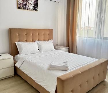Dumbravita Apartment | Modern Apartment
