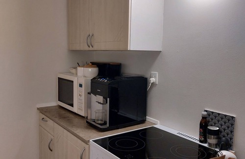 Frederiksberg Apartment | Modern Apartment With Sunny Balcony in Copenhagen