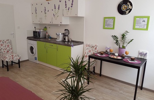 Zizkov Apartment | Modern Apt in center with PARKING