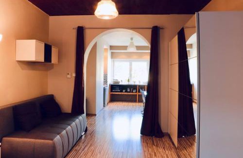 Usti nad Labem Apartment | Modern APT with river view near city center&train