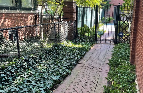 Kenwood House | Modern Coach House 2BR/1BA/Den in Hyde Park/Kenwood, walk to U of C & Lakefront