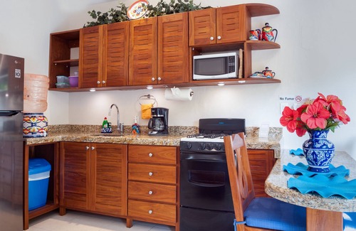 Puerto Morelos Apartment | Modern, comfortable, well-appointed apartment with private garden courtyard.