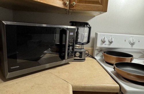 Indian Orchard Apartment | Modern & Cozy 1BR Retreat Near Springfield