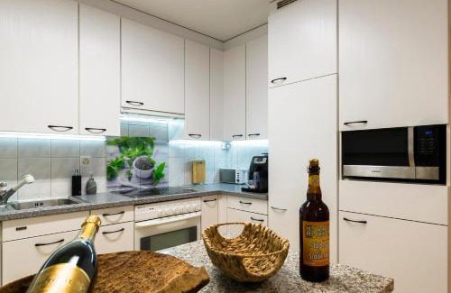 Allschwil Apartment | Modern, Cozy Large Apartment with Terrace in Basel- Allschwil