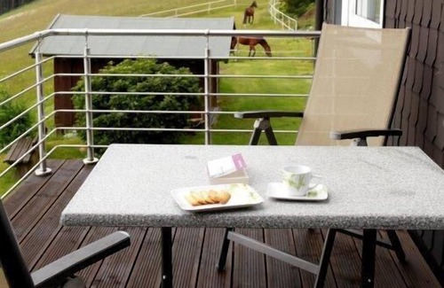 Altastenberg Apartment | Modern 60sqm apartment with south-facing balcony, free WiFi